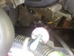 05042010537.jpg